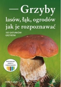 Grzyby lasów, łąk, ogrodów - jak je rozpoznawać