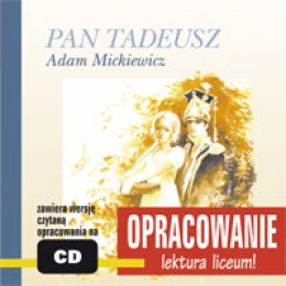 Pan Tadeusz. Opracowanie
