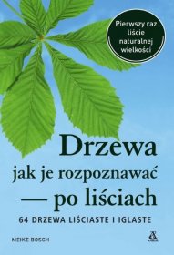 Drzewa - jak je rozpoznawać po liściach