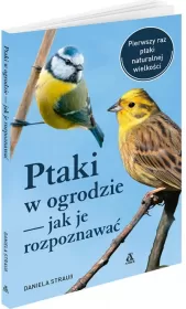 Ptaki w ogrodzie - jak je rozpoznawać