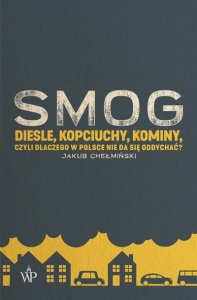SMOG. Diesle, kopciuchy, kominy, czyli dlaczego w Polsce nie da się oddychać?