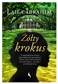 Żółty krokus