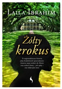 Żółty krokus